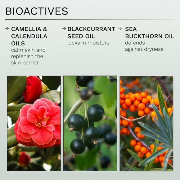 Ren Evercalm Global Protection Day Cream -Full Size - Picture 4 of 12